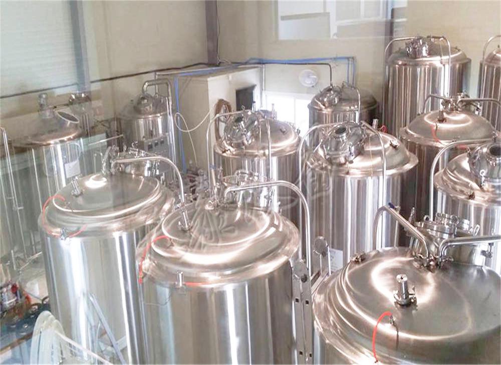 精釀啤酒發酵過程中苦味物質的變化